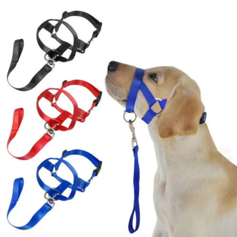 Adjustable Dog Harness With Lead - Comfortable Halter For Small And Medium-sized Dogs