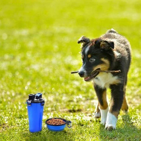 2 - In-1 Portable Water And Food Bottle For Pets
