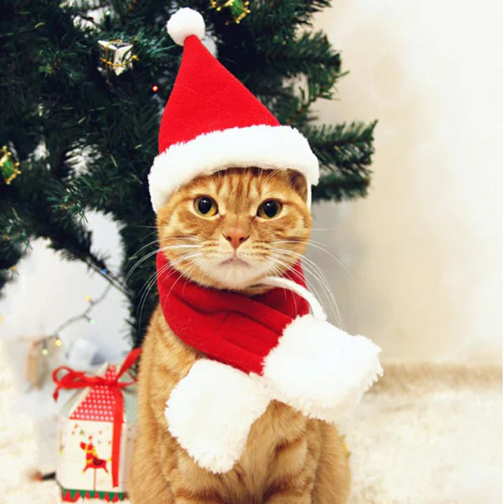 Christmas Cat Costume Set