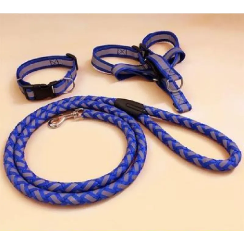 Reflective Dog Harness With Lead - Safe Set For Walks In The Dark