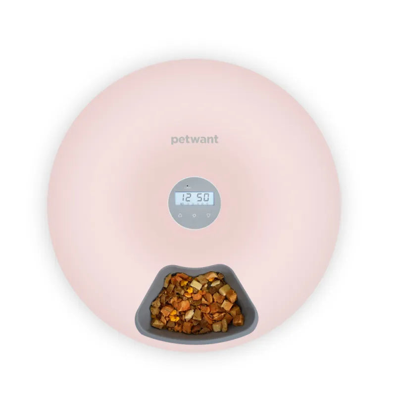 Automatic Pet Food Bowl - Digital Food Dispenser In Different Colours