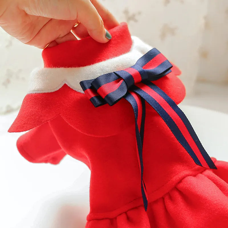 Dog Coat In Red With Elegant Collar Look - Soft And Comfortable For Small Dogs