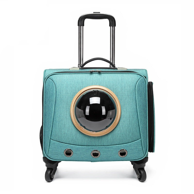 PfotenPilot Travel Capsule