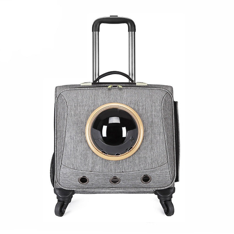 PfotenPilot Travel Capsule