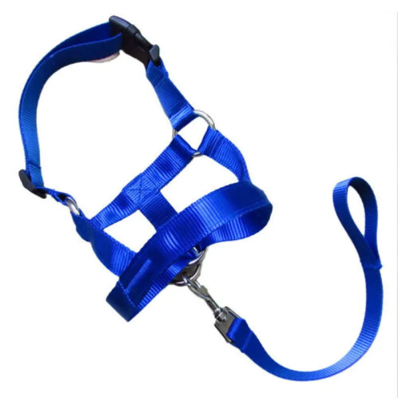 Adjustable Dog Harness With Lead - Comfortable Halter For Small And Medium-sized Dogs