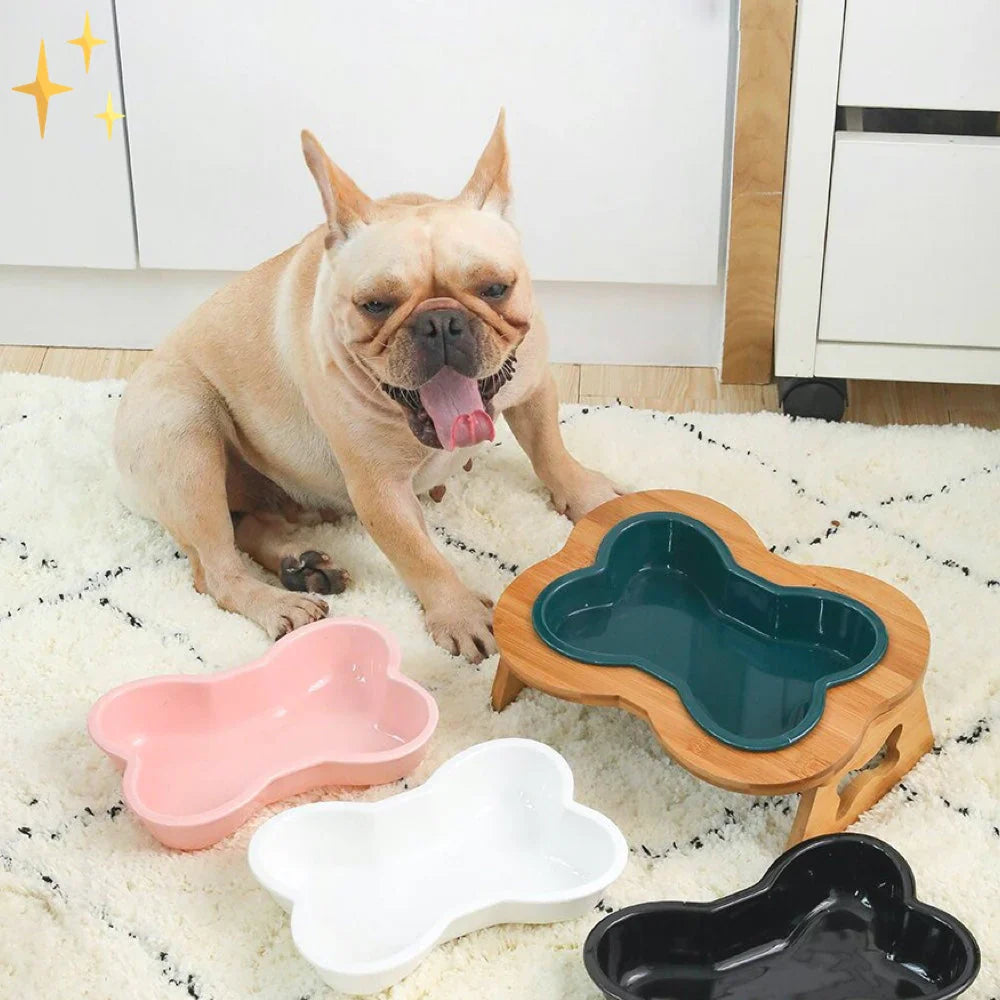 Ceramic Dog Bowl with Wooden Stand
