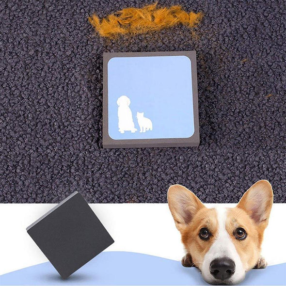 Animal Hair Remover Sponge For Furniture And Car