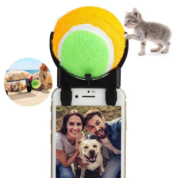 Interactive Ball Toy For Pets