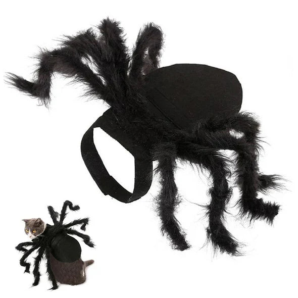 Creepy Spider Costume For Pets