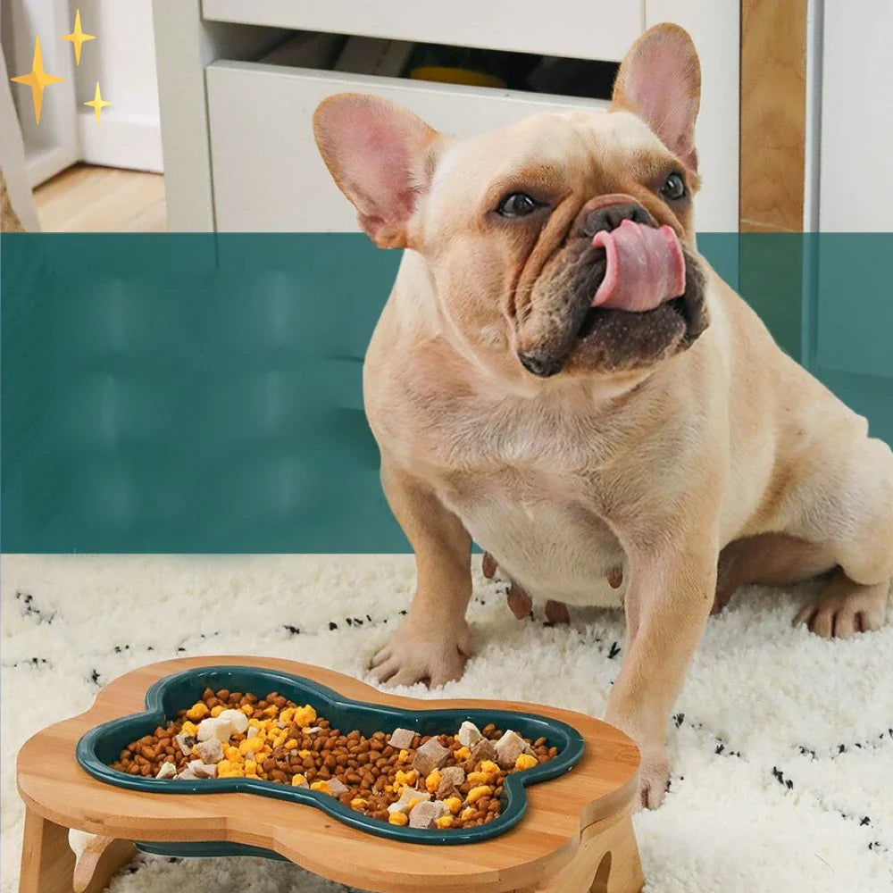 Ceramic Dog Bowl with Wooden Stand