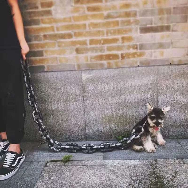 Stylish And Fun Dog Lead