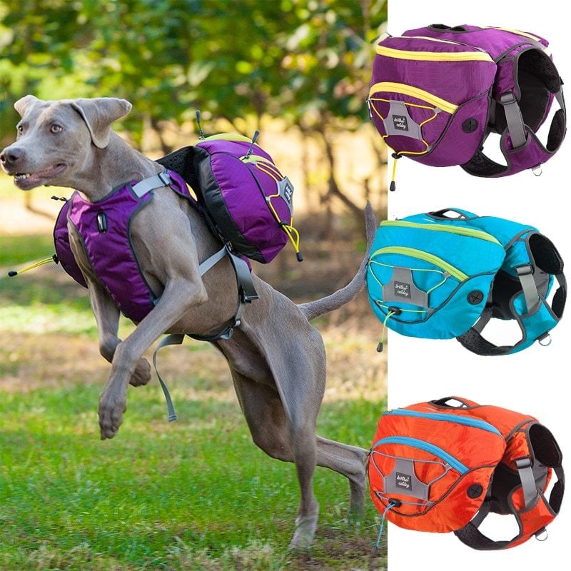 Dog Hiking Rucksack With Waterproof Pockets - Portable Dog Carrier For Outdoor Activities
