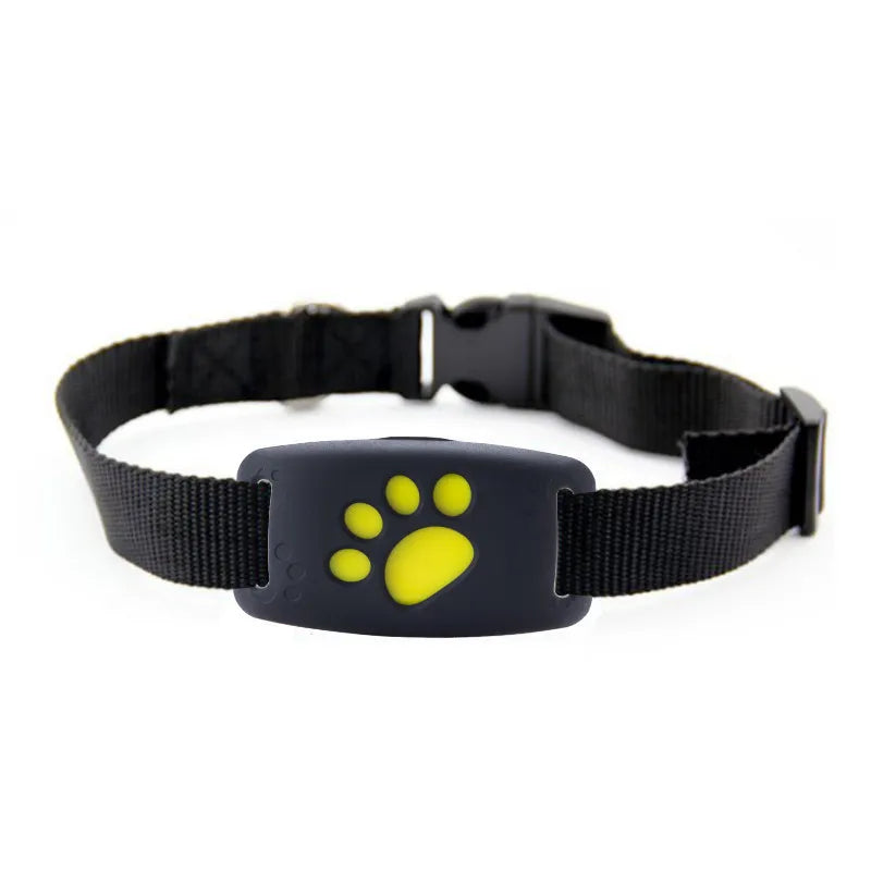Dog Collar With Led Light Function - Visible In The Dark Robust And Comfortable