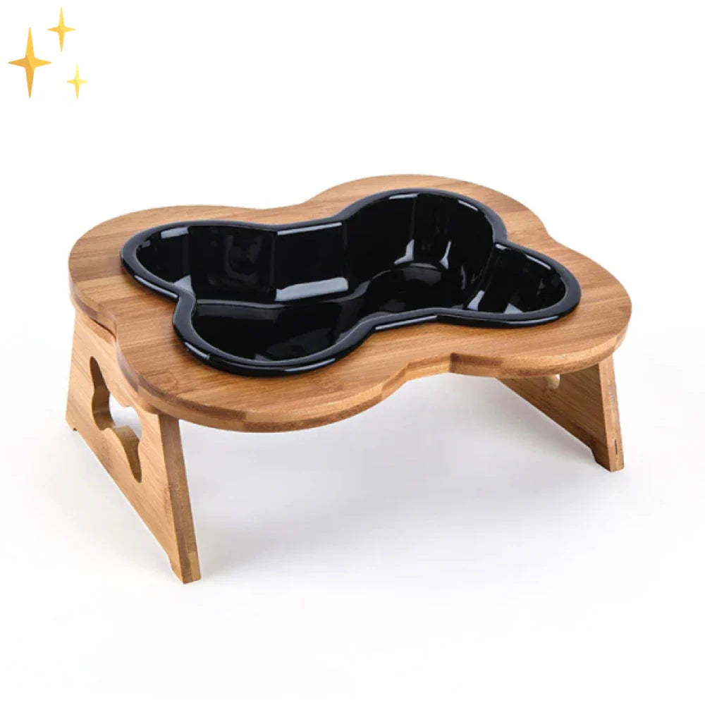 Ceramic Dog Bowl with Wooden Stand