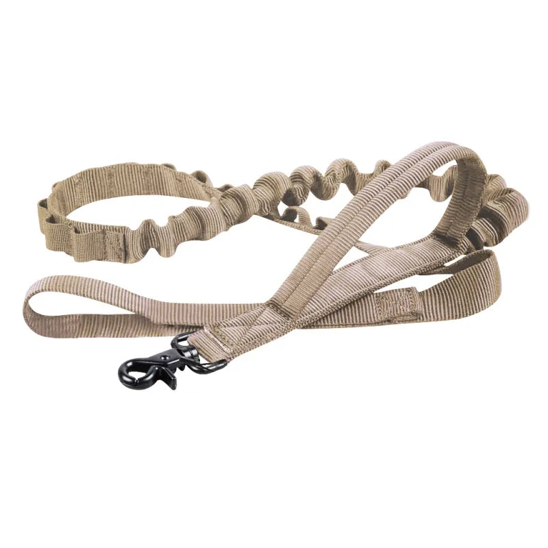 Adjustable Nylon Dog Collar With Robust Click Fastener