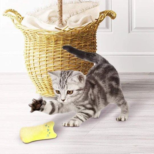 Scratch - Resistant Cat Toy With Catnip