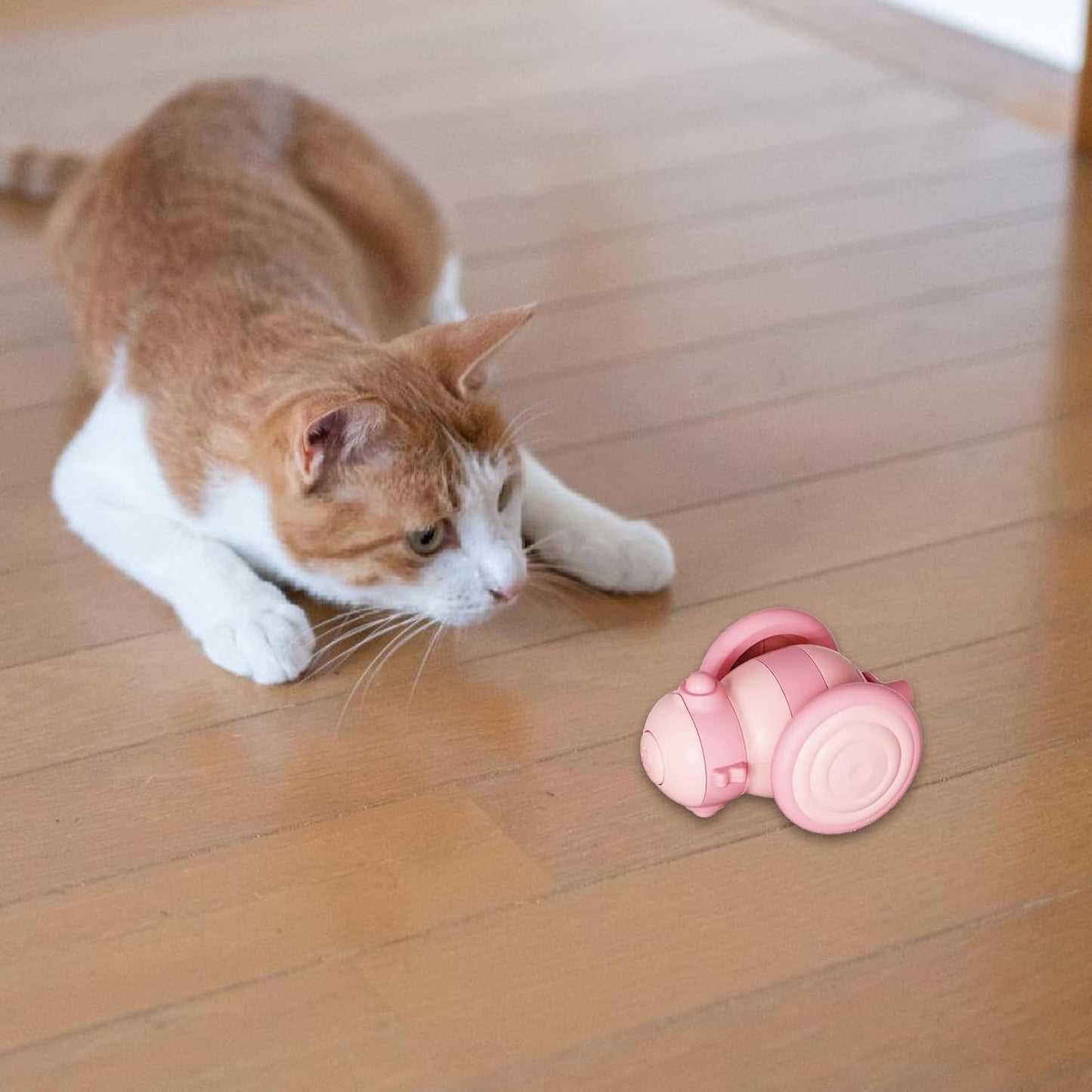 Remote-controlled cat toy