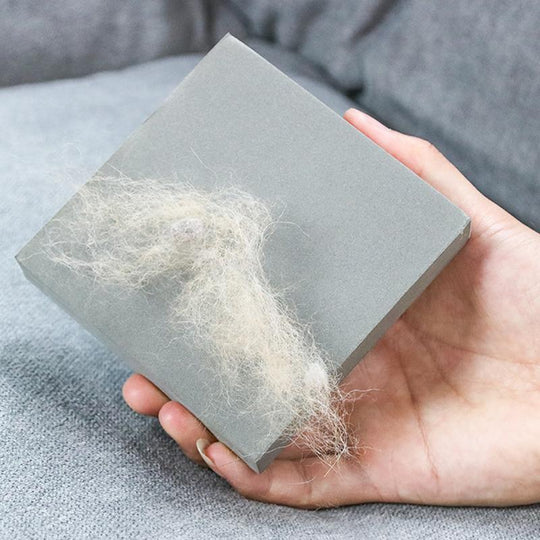 Animal Hair Remover Sponge For Furniture And Car
