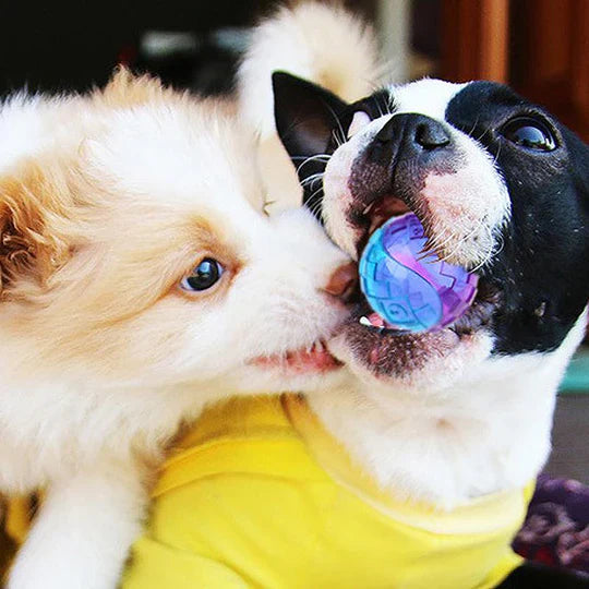 Durable Chew Ball For Dogs