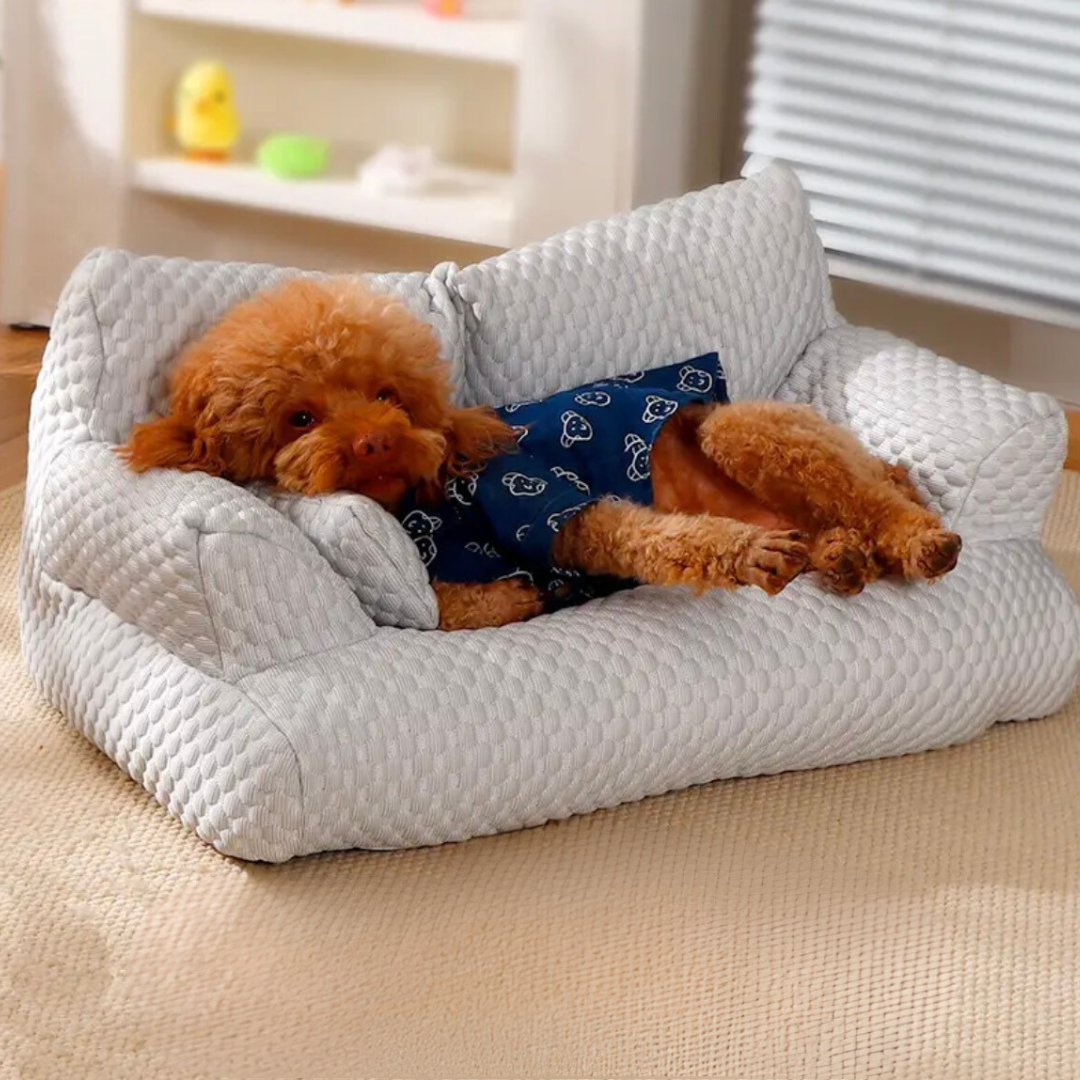 Cooling Dog Couch