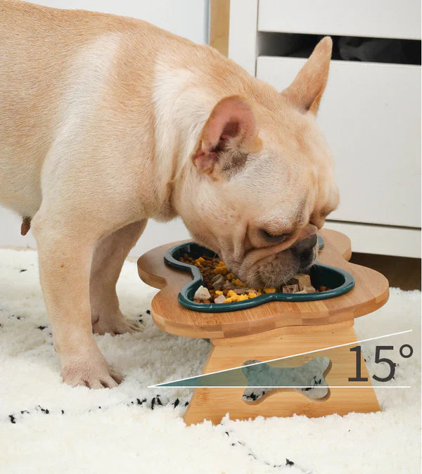 Ceramic Dog Bowl with Wooden Stand