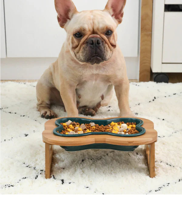 Ceramic Dog Bowl with Wooden Stand