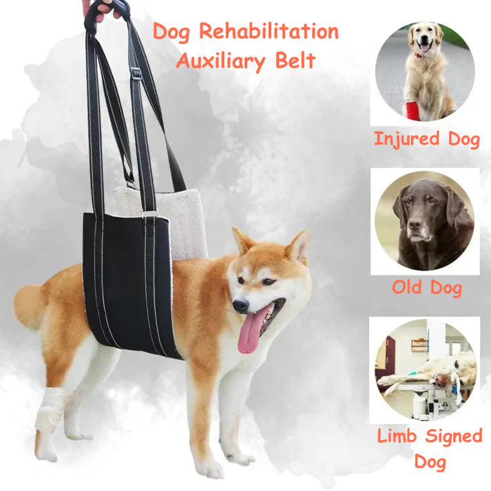 Dog Support Harness - Adjustable Rehabilitation Belt