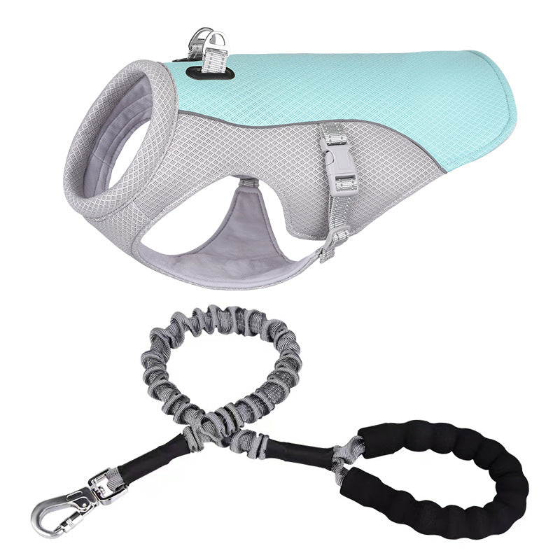 Dog Harness
