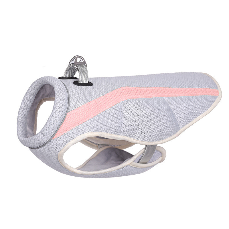 Dog Harness