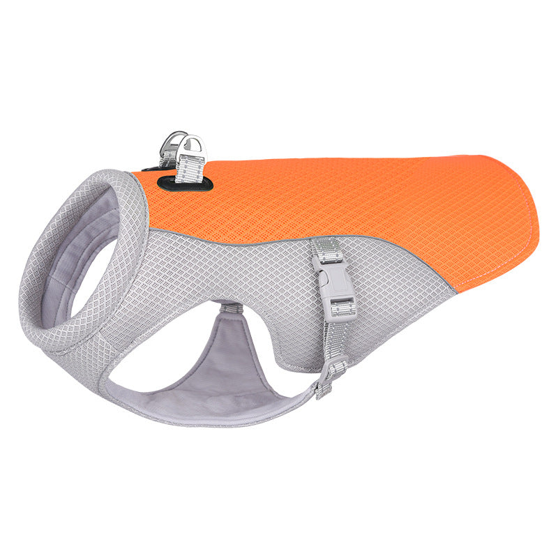 Dog Harness