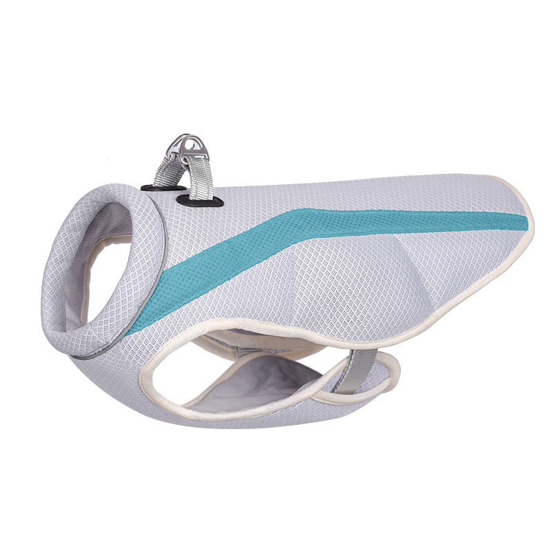 Dog Harness