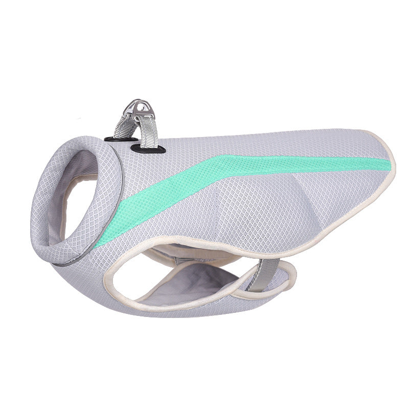 Dog Harness