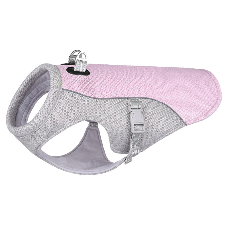 Dog Harness
