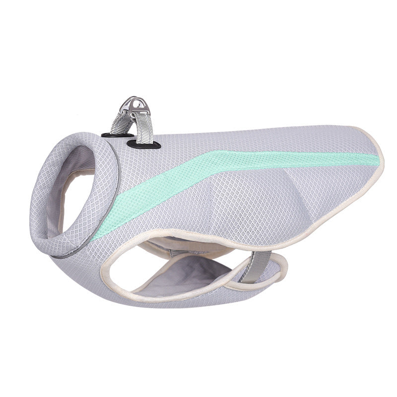Dog Harness