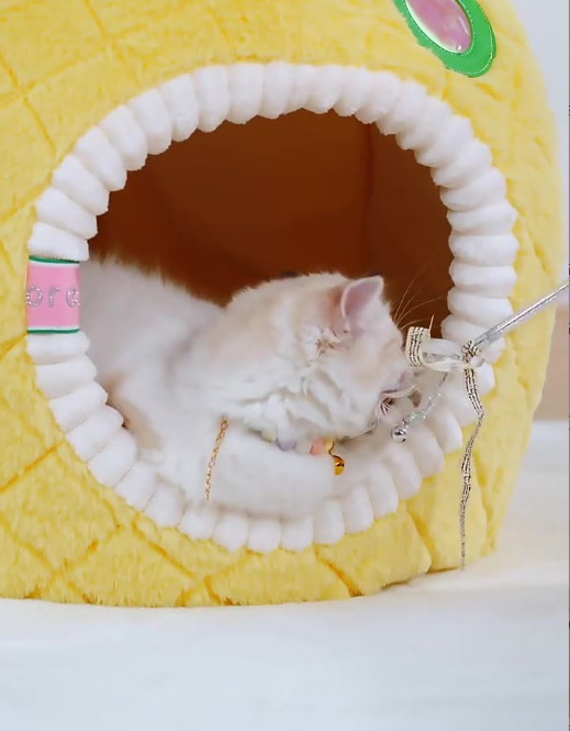 Pineapple Cat Cave - Soft And Cosy Sleeping Cave For Cats, Pet Bed For Cats In Fruit Design