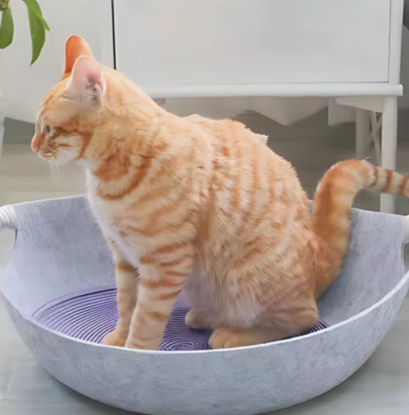 Cozy Felt Cat Bed With Carrying Handles