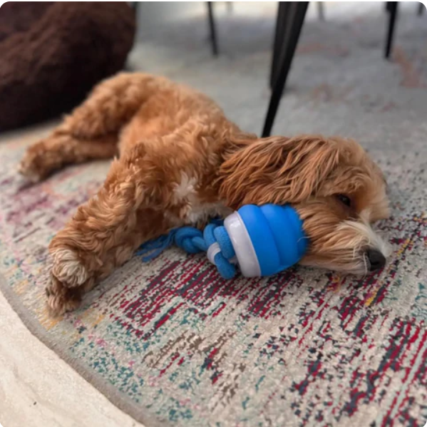 Interactive Chew Toy for Dogs – Fun for Movement and Mental Stimulation