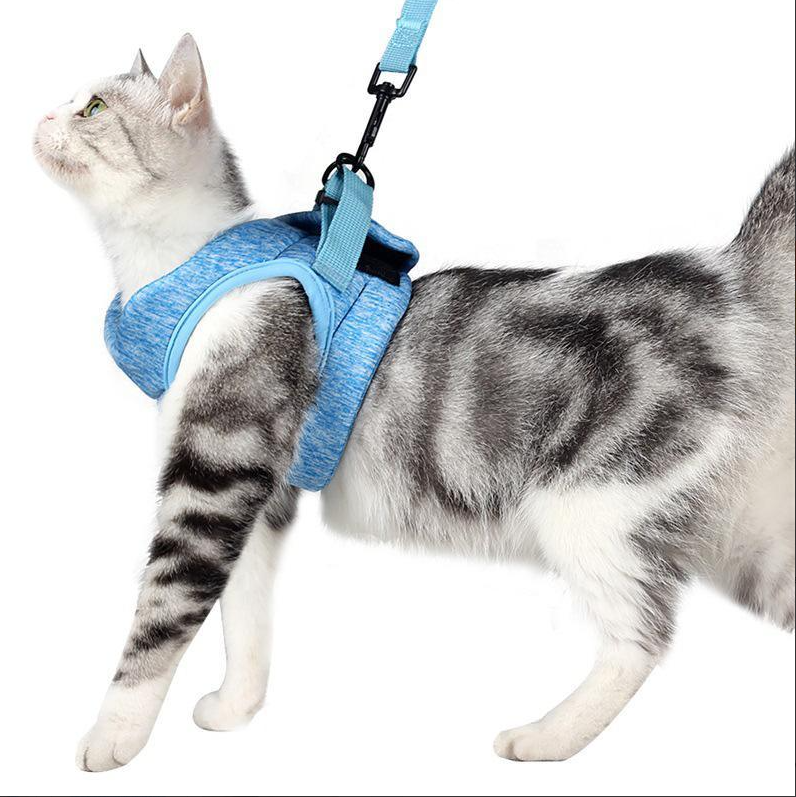 Cat Harness With Lead