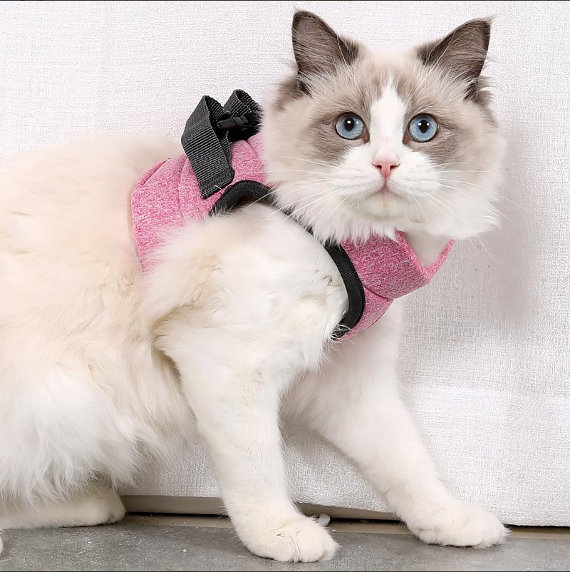 Cat Harness With Lead