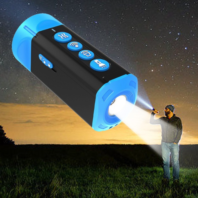 Portable Dog Trainer With Remote Control