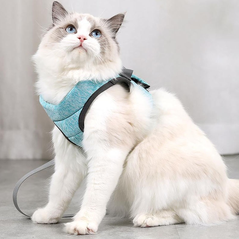 Cat Harness With Lead