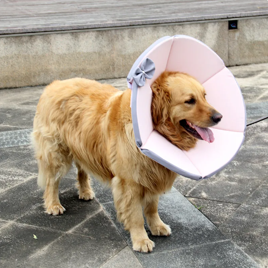 Soft Dog Collar With Comfort - Protective Collar For Dogs After Operations In Yellow And Brown