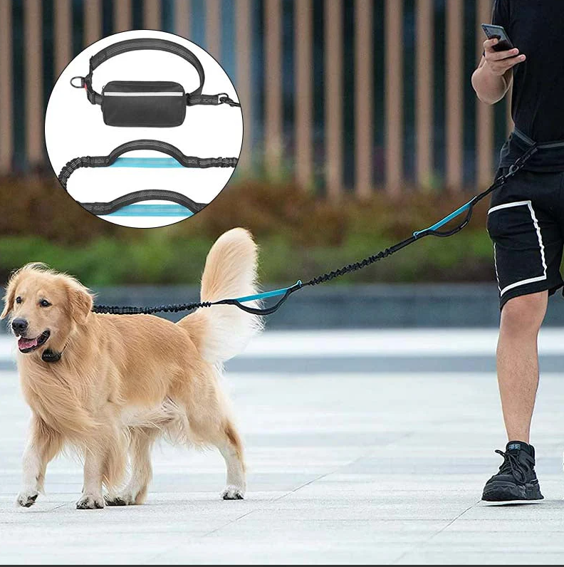 Free - Handed Dog Lead With Fanny Pack
