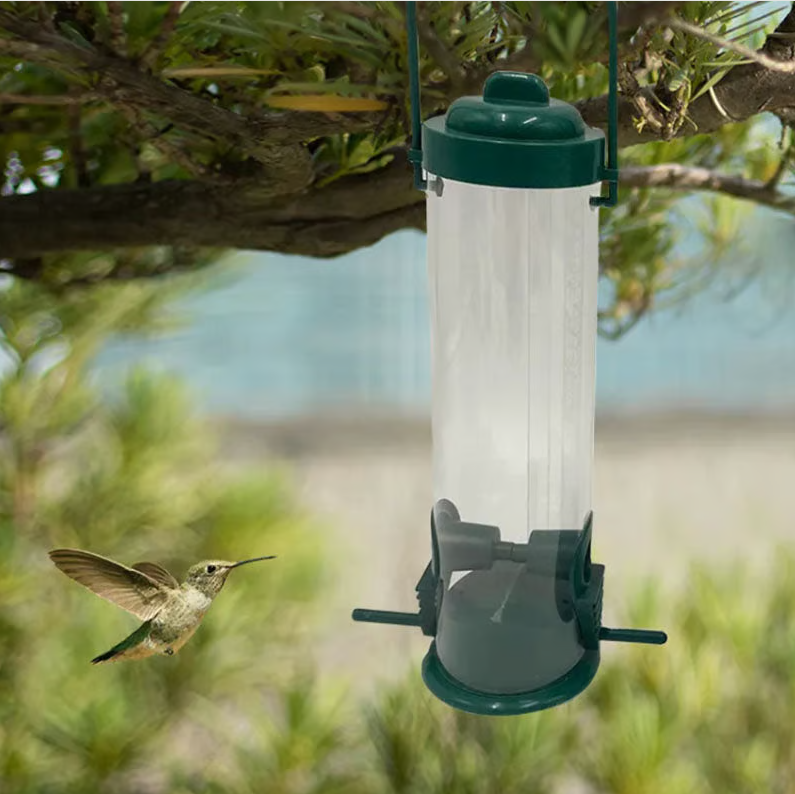 Squirrel - Proof Bird Feeder