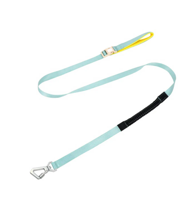 Anti-Pull Dog Harness with Adjustable Leash