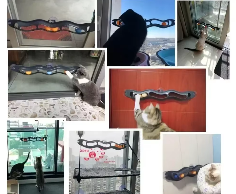 Window Cat Toy - Interactive Play Track With Movable Balls