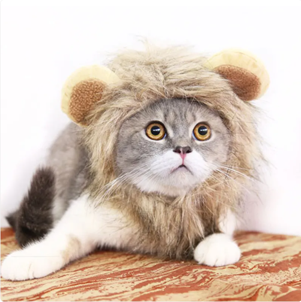 Lion 's Mane For Cats With Ears For Dressing Up And Funny Photos
