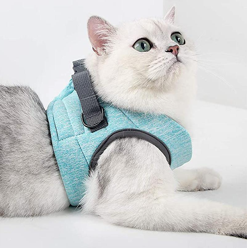 Cat Harness With Lead