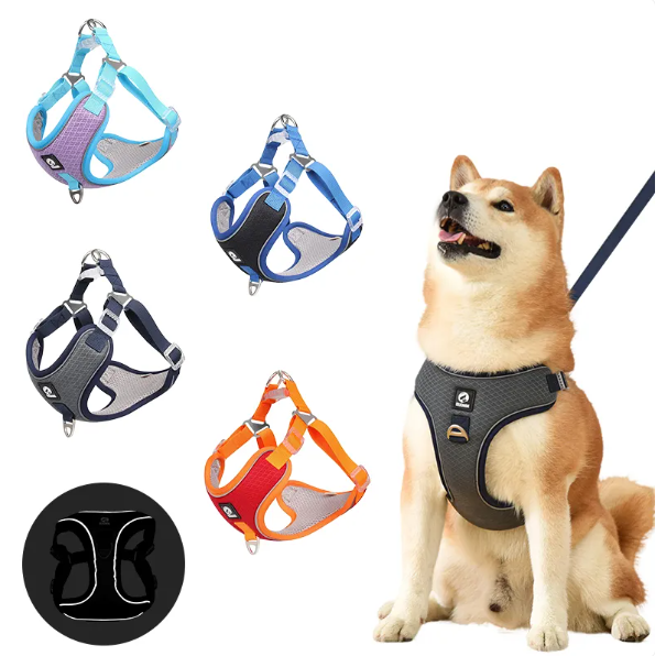 Breathable Dog Harness With Lead - Adjustable For Comfort