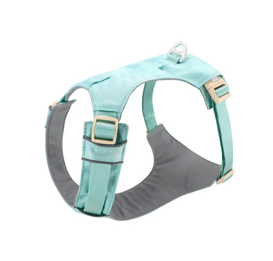Anti-Pull Dog Harness with Adjustable Leash
